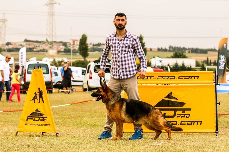 Hürde für Training mit Hund