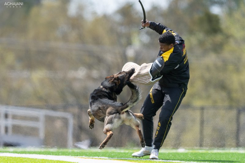 Hetzanzug für Schutzhund-Training