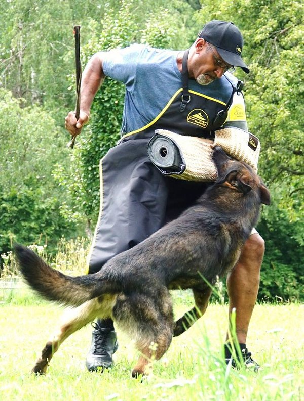 Profesioneller Schutzarm für Hundesport 