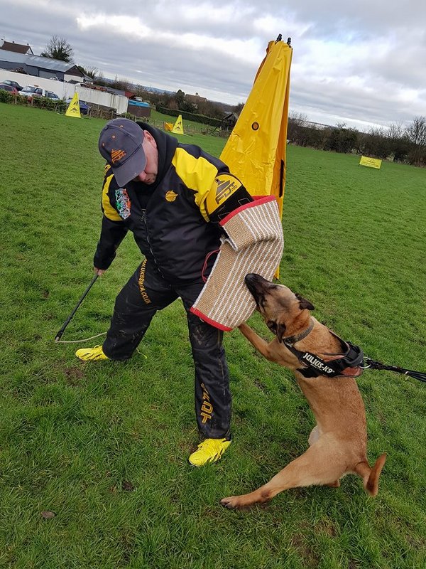 Hundetraining Schutzarm 