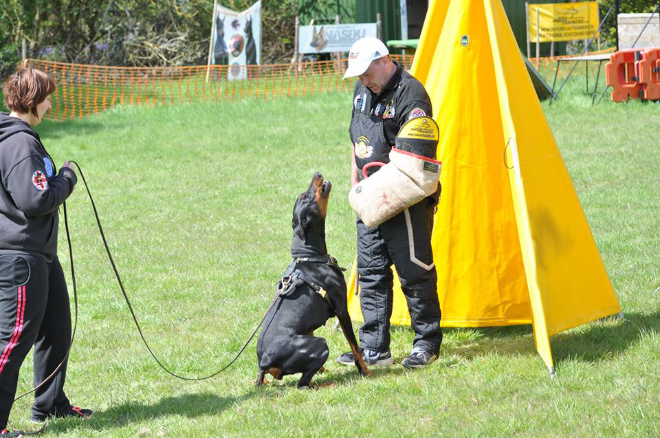 Schutzarm für Hunde Training