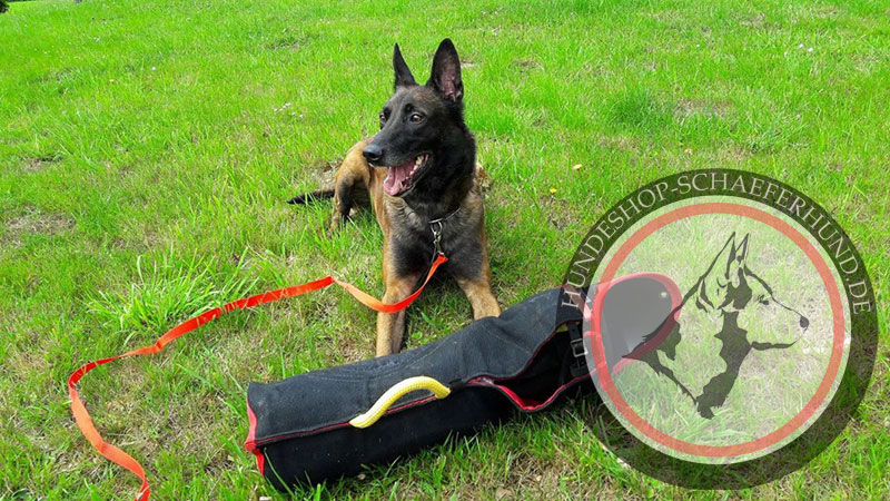 Schutzarm für Hunde Training