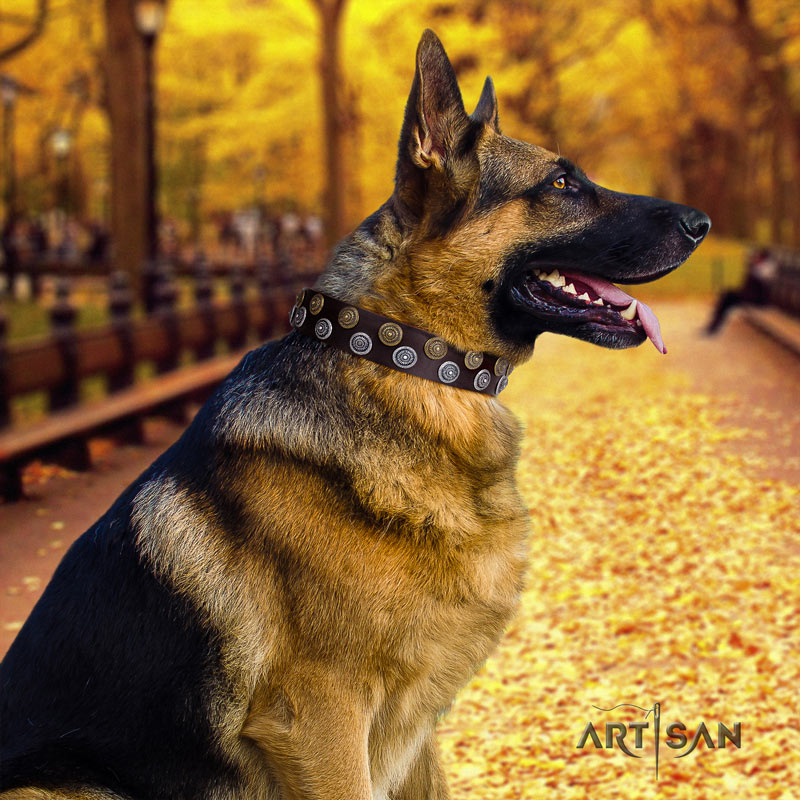 Stilvolles Nieten Halsband für Deutschen Schäferhund 