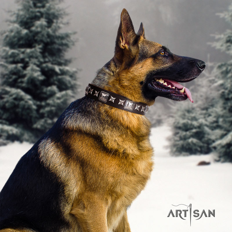 Stilvolles Lederhalsband für Deutschen Schäferhund 