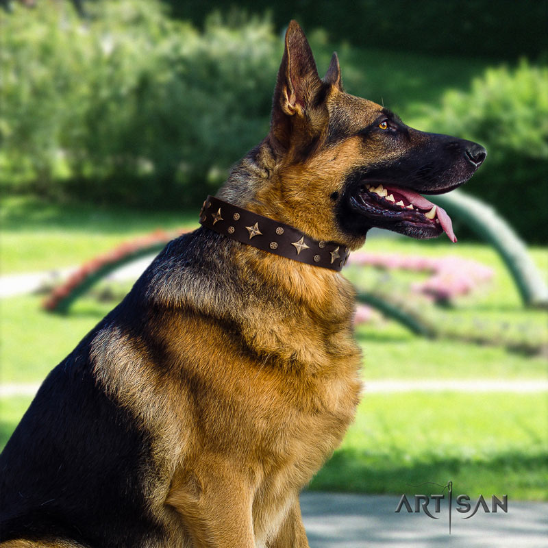 Fabelhaftes Lederhalsband für Deutschen Schäferhund 