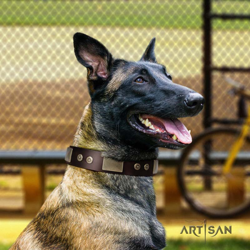 Nieten Halsband aus braunem Leder für Malinois