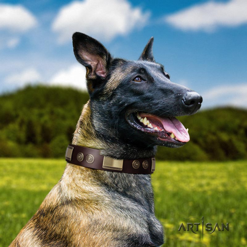 Braunes Lederhalsband genietet für Malinois