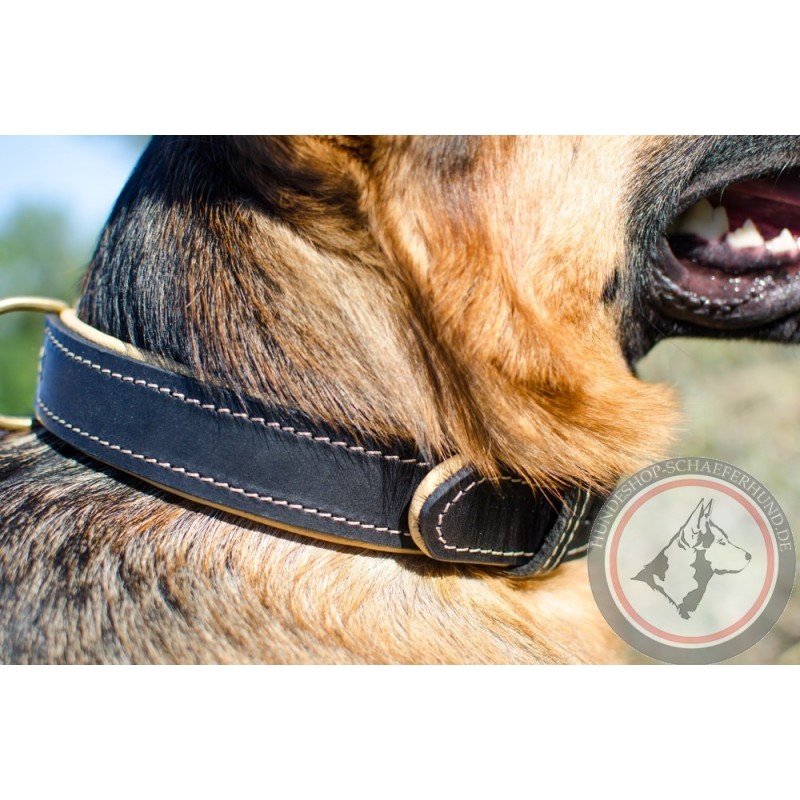 luxus Hundehalsband aus Leder für Schäferhund kaufen