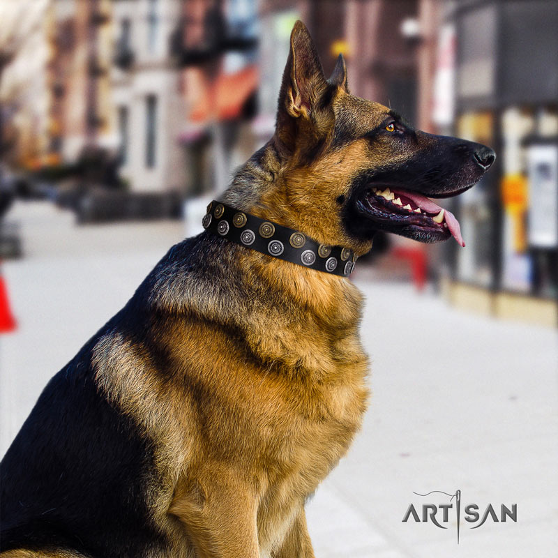 Exklusives Lederhalsband für Deutschen Schäferhund 