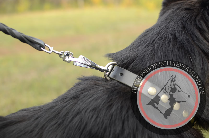 Gutes Lederhalsband für Schäferhund