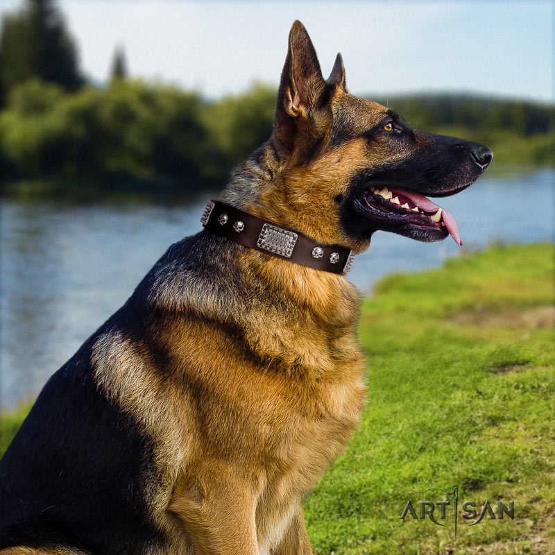 Braunes Lederhalsband mit Nieten für Schäferhunde