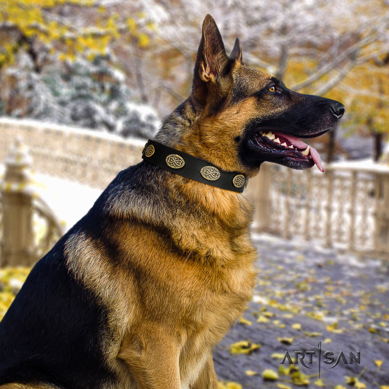 Schwarzes Nieten Lederhalsband für Schäferhunde