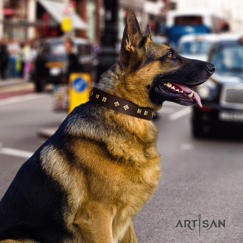 Braunes Nieten Lederhalsband für Schäferhunde