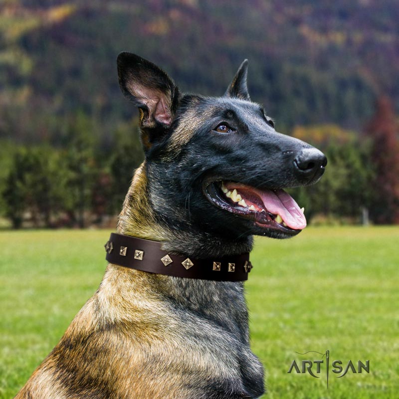 Braunes Halsband mit Nieten für Malinois