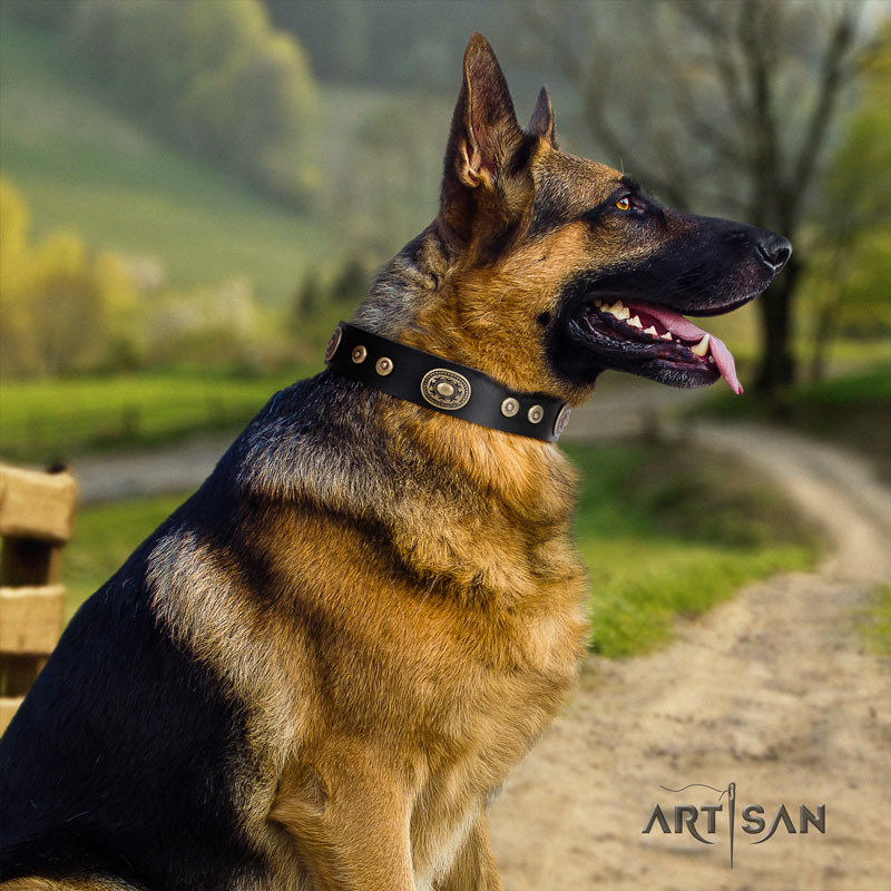 Halsband aus Leder für Schäferhund, klassische schwarze Farbe