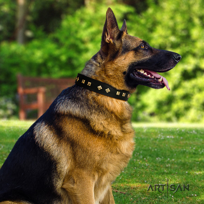 Genietetes Lederhalsband in schwraz für Schäferhunde