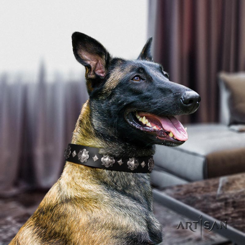 Schwarzes Lederhalsband genietet für Malinois