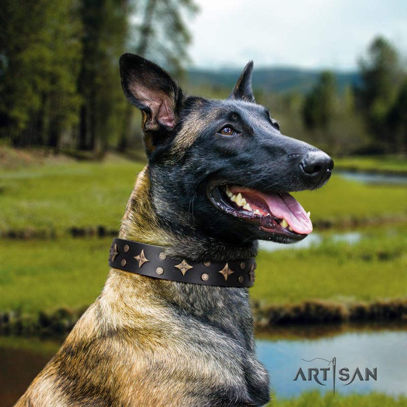 Genietetes elegantes Lederhalsband für Belgischen Schäferhund 