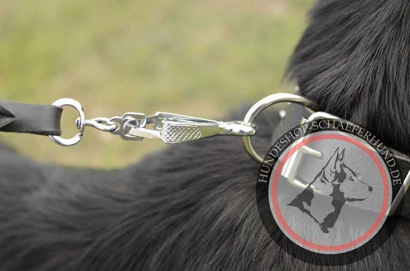 Schickes Lederhalsband für Schäferhund