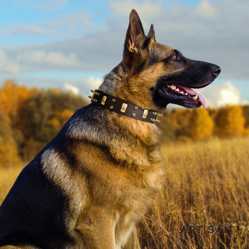 Genietetes Lederhalsband für Schäferhund