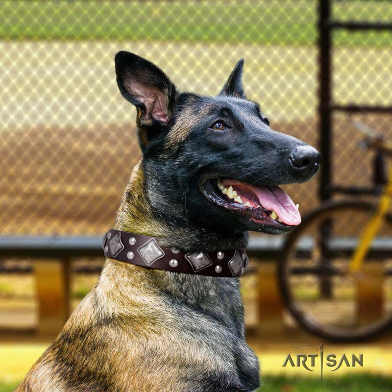 Wertvolles Nieten Lederhalsband für Belgischen Schäferhund 