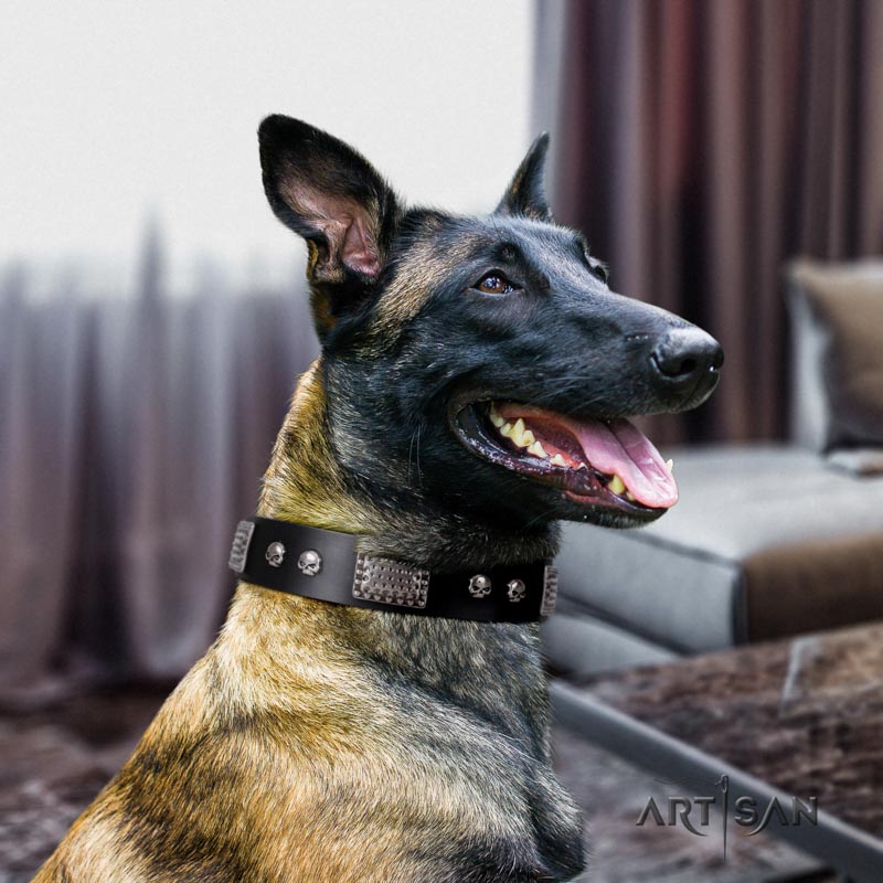 Nieten schwarzes Lederhalsband für Malinois