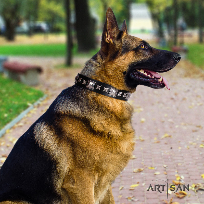 Stylisches Lederhalsband für Deutschen Schäferhund 