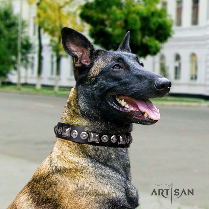 Elegantes schwarzes Lederhalsband für Malinois