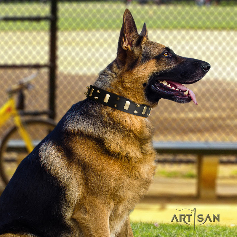 Nieten Lederhalsband in schwarz für Schäferhund von FDT Artisan 