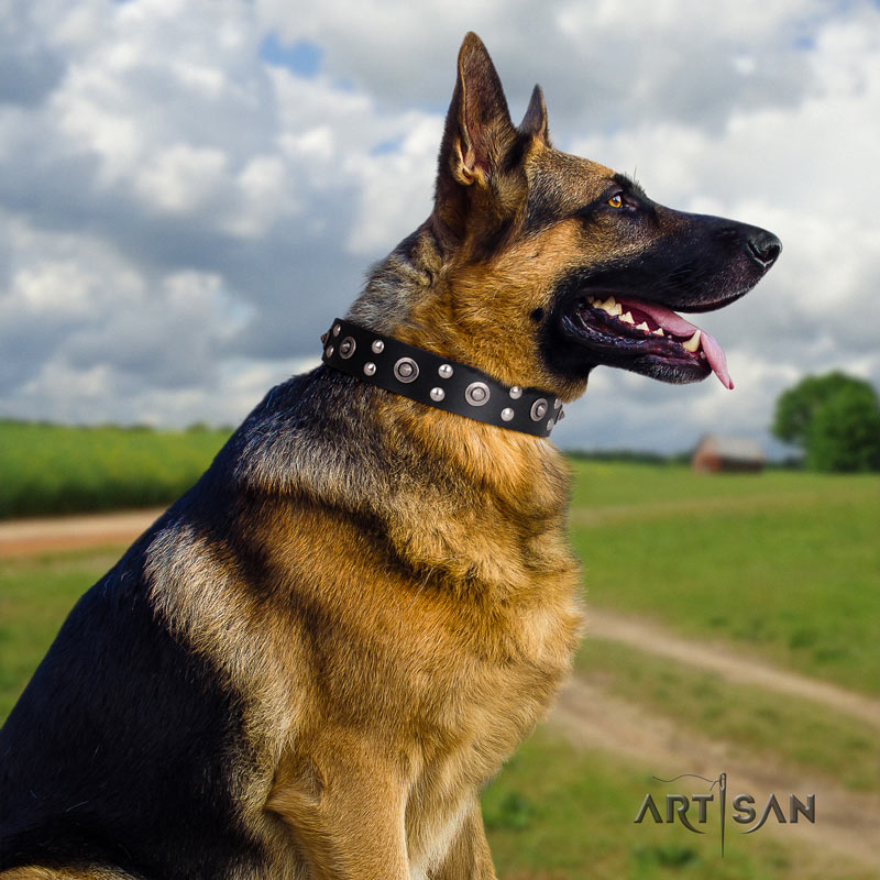 Hundehalsband aus Leder schwarz für Schäferhunde 