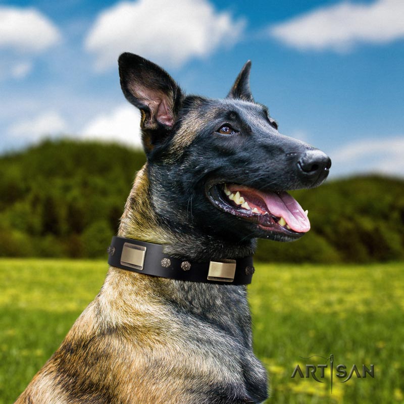 Nieten Halsband aus schwarzem Leder für Malinois