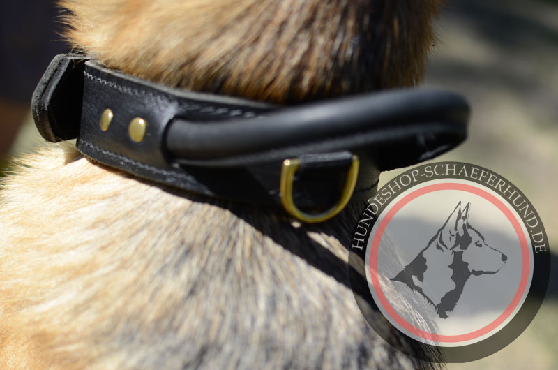 Leder Hundehalsband für Sport