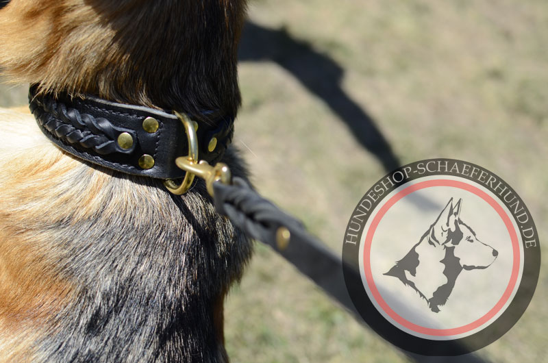 Leder Hundehalsband für Ausläufe und Sport