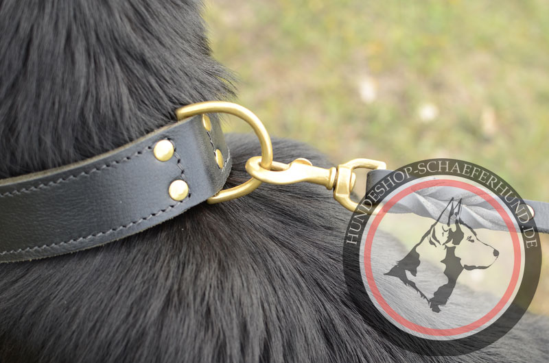 Leder Hundehalsband für Sport