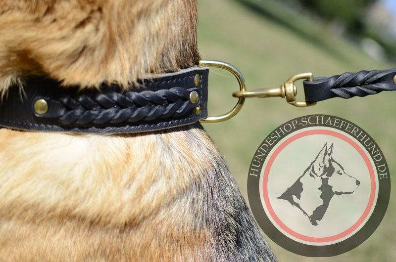 robustes Leder Hundehalsband