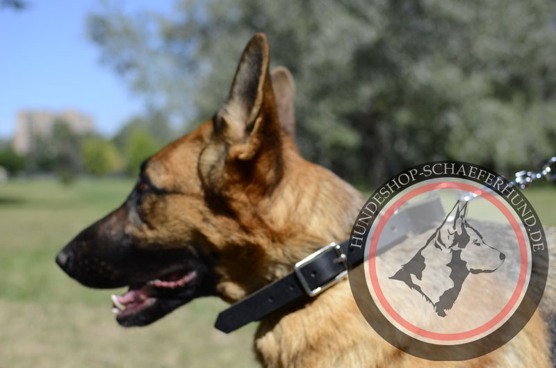 Hundehalsband aus Leder für Schäferhunde bessere Hunde-Kontrolle