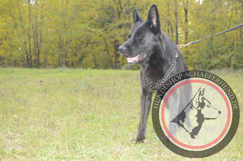 Extra starkes Hundegeschirr aus Leder für Schäferhund, gepolstert