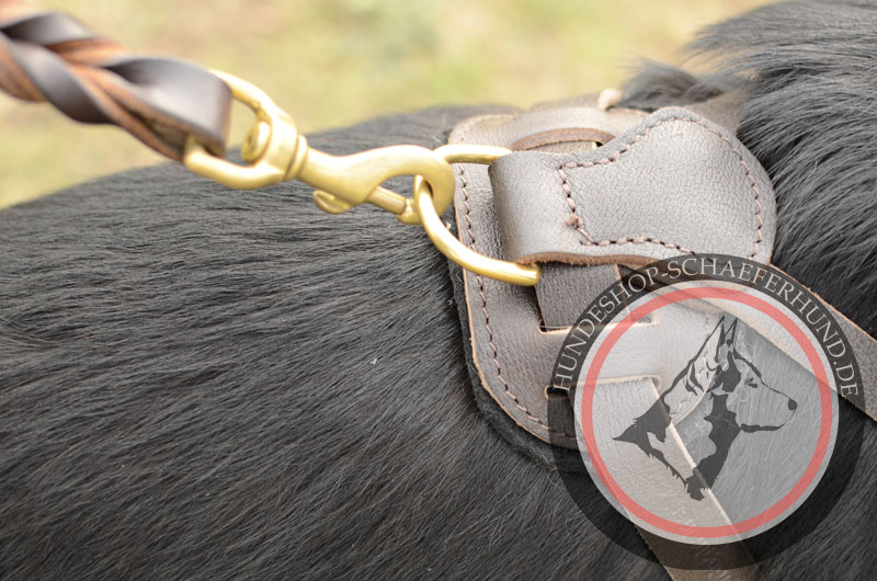 Leder Hundegeschirr, außergewöhnlich