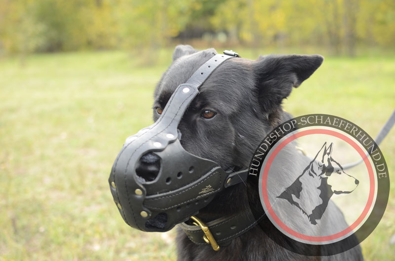 Maulkorb aus Leder für Schäferhund für Polizeidienst und Attacke
