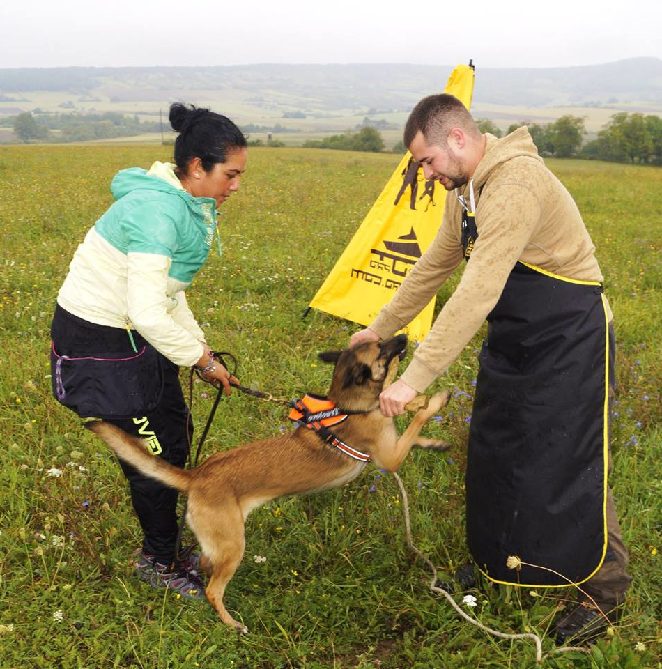 Hundesportbekleidung für Damen Helfer online kaufen